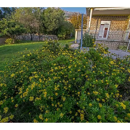 Apartament Nada Starigrad Paklenica